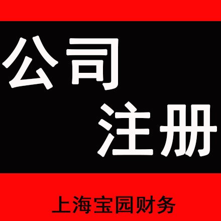 公司註冊 - 上海一人有限責任公司註冊 - 愛企查企業服務平臺