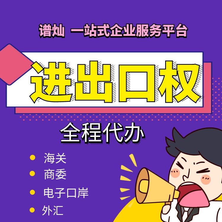 外贸代理公司:行业风云变幻中的舵手